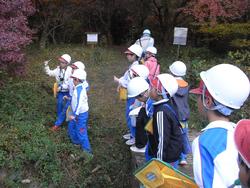 3年生環境体験学習の様子