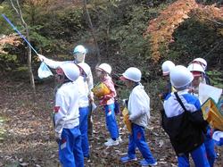 3年生環境体験学習の様子