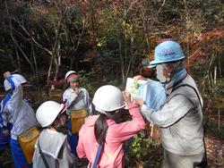3年生環境体験学習の様子