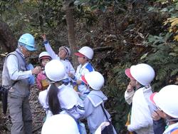 3年生環境体験学習の様子