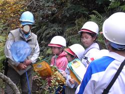 3年生環境体験学習の様子