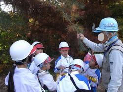 3年生環境体験学習の様子