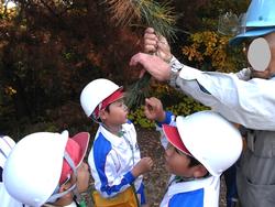 3年生環境体験学習の様子