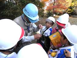 3年生環境体験学習の様子