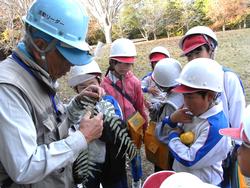 3年生環境体験学習の様子