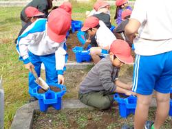 1年生生活科の授業