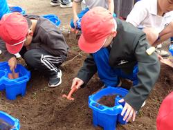 1年生生活科の授業