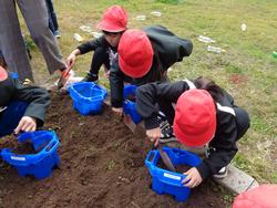 1年生生活科の授業