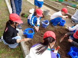 1年生生活科の授業