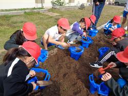 1年生生活科の授業