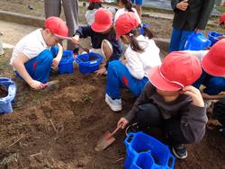 1年生生活科の授業