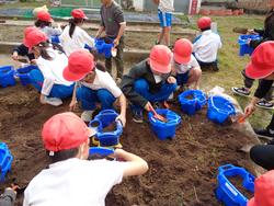 1年生生活科の授業