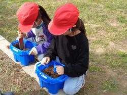 1年生生活科の授業