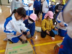 1年生幼稚園を招待してのお祭り
