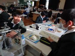 5年生理科の授業