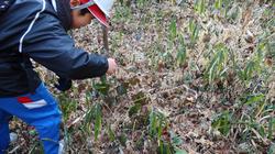 3年生環境体験学習