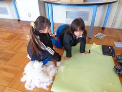 2年生 雪のまちをつくろう