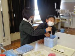 5年生理科の授業