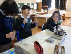 4年生理科の授業