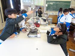 4年生理科の授業