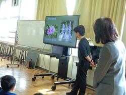 3,4年生多文化共生教育事業