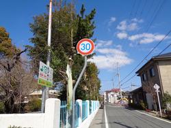 樹木の伐採・剪定