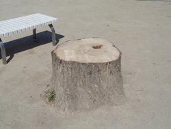 樹木の伐採・剪定