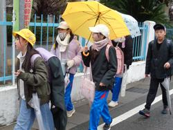 集団登校の様子