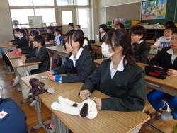 5年生国語の授業