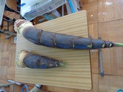 2年生図工の授業