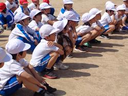 1年生体育の授業