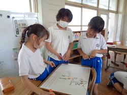 5年生社会の授業