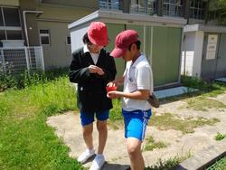 5年生理科の授業