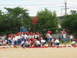 1・2年学団競技「勝利をめざして ねらえ！たまいれ！」