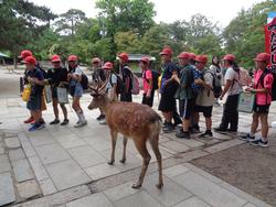 6年生校外学習