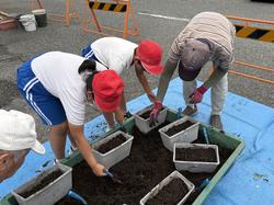 3年生中央公民館で花植え