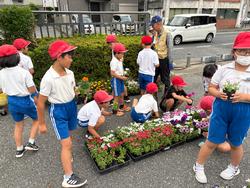 3年生中央公民館で花植え