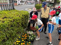 3年生中央公民館で花植え