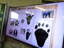 3年生算数の研究授業