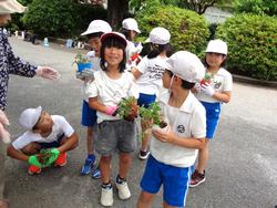 2年生老人会の方々と花植え