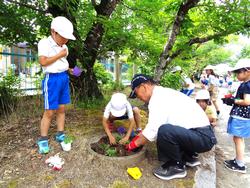 2年生老人会の方々と花植え