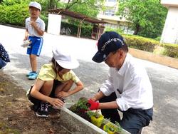 2年生老人会の方々と花植え