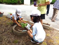 2年生老人会の方々と花植え