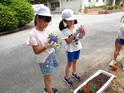 2年生老人会の方々と花植え