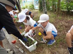 2年生老人会の方々と花植え