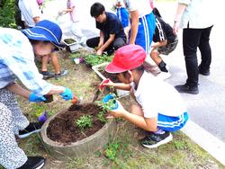 2年生老人会の方々と花植え