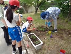 2年生老人会の方々と花植え