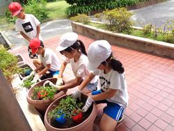 2年生老人会の方々と花植え
