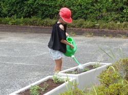 2年生老人会の方々と花植え