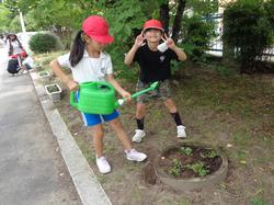 2年生老人会の方々と花植え